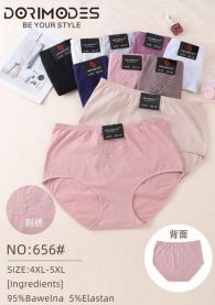 Majtki damskie (4-5XL/24szt)