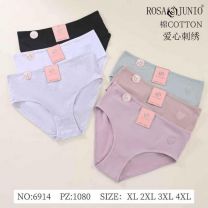 Majtki damskie (XL-4XL/24szt)