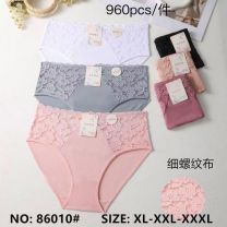 MAJTKI DAMSKIE (XL-3XL/24szt)