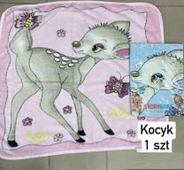 Ręczniki Dziecięce i Niemowlęce