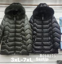 Kurtka damskie (3XL-7XL/5szt)