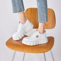 buty sportowe wiązane damskie (36-41/8P)