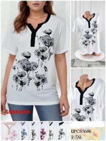 Bluzka damska (2-5XL/12szt)