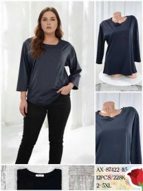 Bluzka damska (2-5XL/12szt)