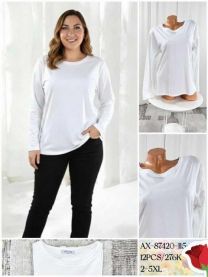 Bluzka damska (2-5XL/12szt)