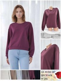 Bluzka damska (M-2XL/12szt)