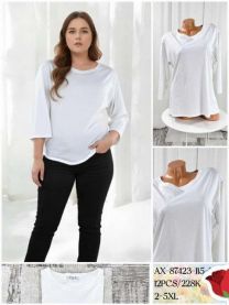 Bluzka damska (2-5XL/12szt)