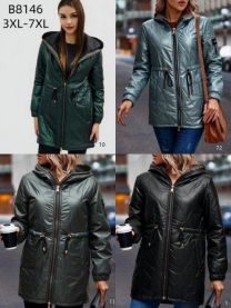 kurtka damskie (3-7XL/5szt)