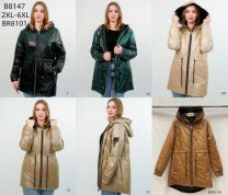 Kurtka damskie (2-6XL/5szt)