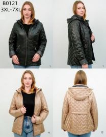 kurtka damskie (3-7XL/5szt)