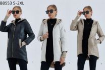 Kurtka damskie (S-2XL/5szt)