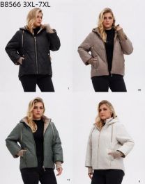 kurtka damskie (3-7XL/5szt)