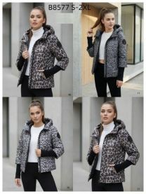 Kurtka damskie (S-2XL/5szt)