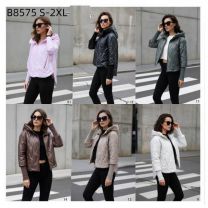 Kurtka damskie (S-2XL/5szt)