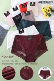 Majtki damskie (3-5XL/24szt)