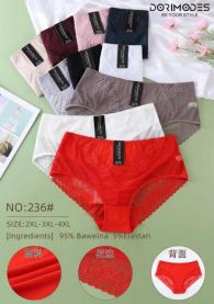 MAJTKI DAMSKIE (2-4XL/24szt)