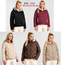 kurtka damskie (2-6XL/5szt)