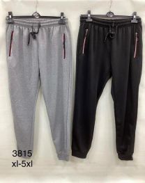 Spodnie dresowy męskie (XL-5XL/10szt)