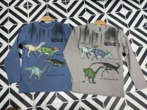 Bluzka Chłopięce (4-12LAT/10szt)