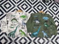 Bluzka Chłopięce (3-8LAT/10szt)