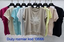 Bluzki Turecka (uniwersalny/12szt)