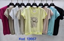 Bluzki Turecka (uniwersalny/12szt)