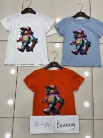 Bluzka Chłopięce (4-14LAT/6szt)