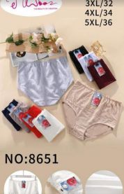 Majtki damskie (3-5XL/24szt)