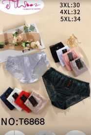 Majtki damskie (3-5XL/24szt)