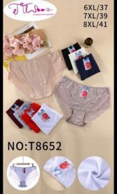 Majtki damskie (6-8XL/24szt)