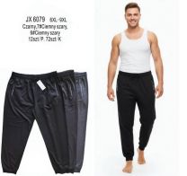 Spodnie dresowe męskie (6-9XL/12szt)