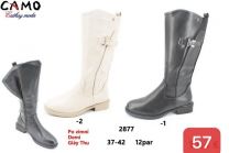 Kozaki na płaskim (37-42/12P)