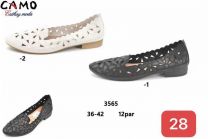 Baleriny damskie (36-42/12P)