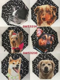 Parasol (Uniwersalny/12szt)