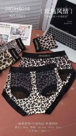 Majtki damskie (28-38/24szt)