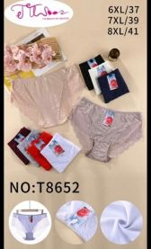 Majtki damskie (6-8XL/24szt)