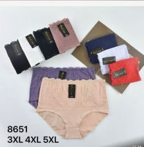 Majtki damskie (3-5XL/24szt)