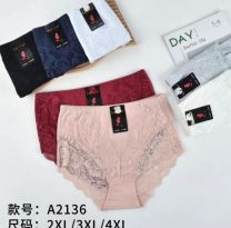 Majtki damskie (2-4XL/24szt)