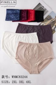 MAJTKI DAMSKIE (2XL-4XL /24szt)