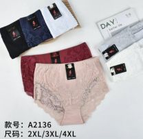 Majtki damskie (2XL-4XL/24szt)