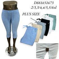 PLUS_Rybaczki damskie (2XL-6XL/12szt)