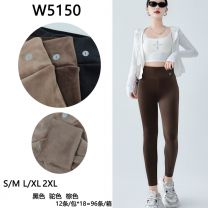 Spodnie welurowy (S-2XL/12szt)