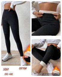 PLUS_Spodnie legginsy damskie (2XL-6XL/12szt)