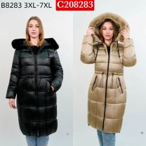 Kurtka damskie (3XL-7XL/5szt)