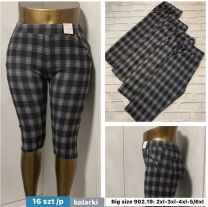 PLUS_Spodenki legginsy (2-6XL/16szt)