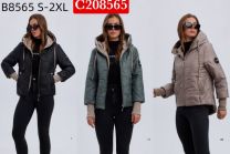 Kurtka damskie (S-2XL/5szt)