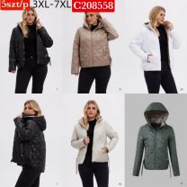 Kurtka damskie (3XL-7XL/5szt)