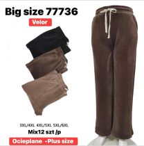 PLUS_Spodnie welurowy (3-6XL/12szt)