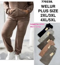 PLUS_Spodnie welurowy (2-5XL/12szt)
