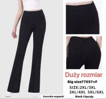 PLUS_Spodnie elastyczny (2-6XL/12szt)